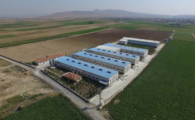 Sancak Yumurta Üretim Çiftliği 