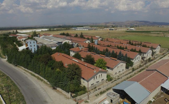 Şafak Yumurta Üretim Çiftlikleri